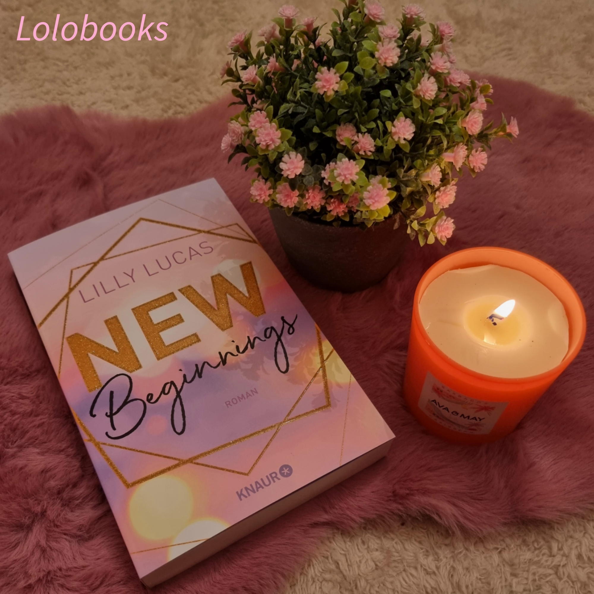 new-beginnings-green-valley-love-1-von-lilly-lucas-lolobooks